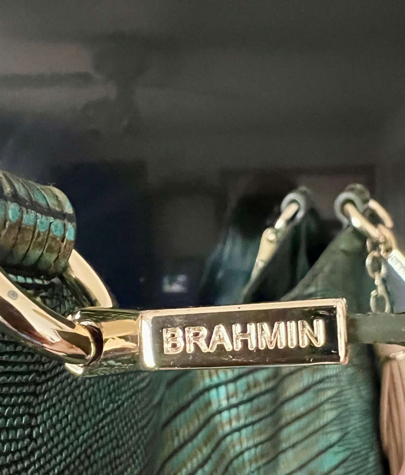 ☘️💚☘️ Brahmin Emerald Moa Marianna Purse Blue Green Gold Lizard Grommets Tassel