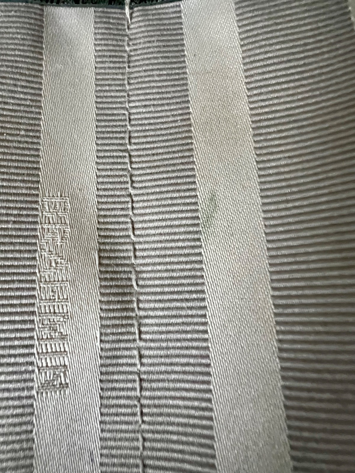 ☘️💚☘️ Brahmin Emerald Moa Marianna Purse Blue Green Gold Lizard Grommets Tassel