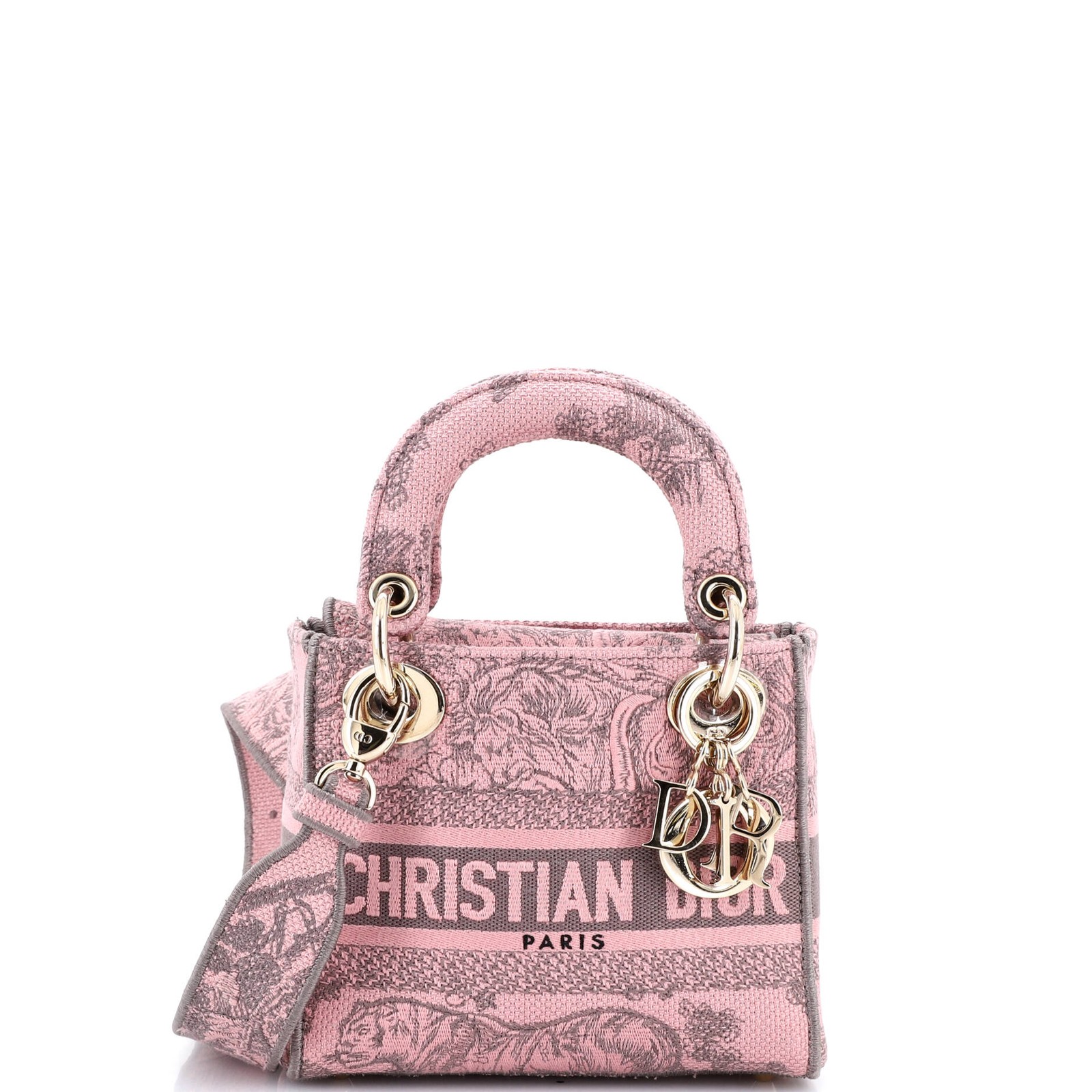 Christian Dior Lady D-Lite Bag Embroidered Canvas Mini