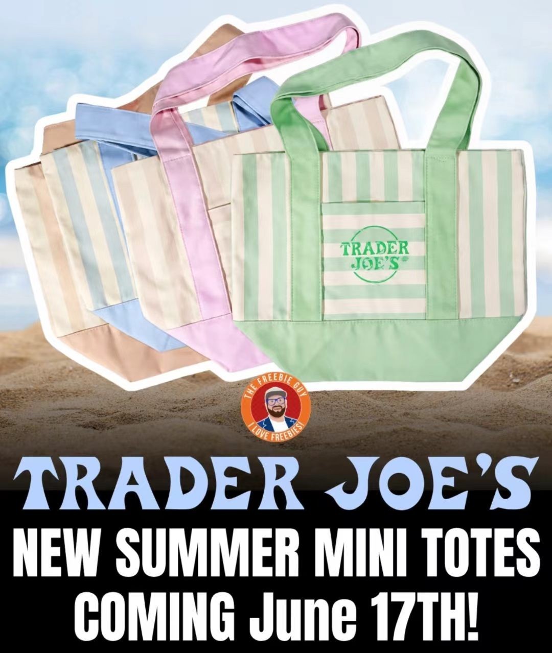NEW 2026 Trader Joe’s Striped Canvas Mini Tote Set of 4