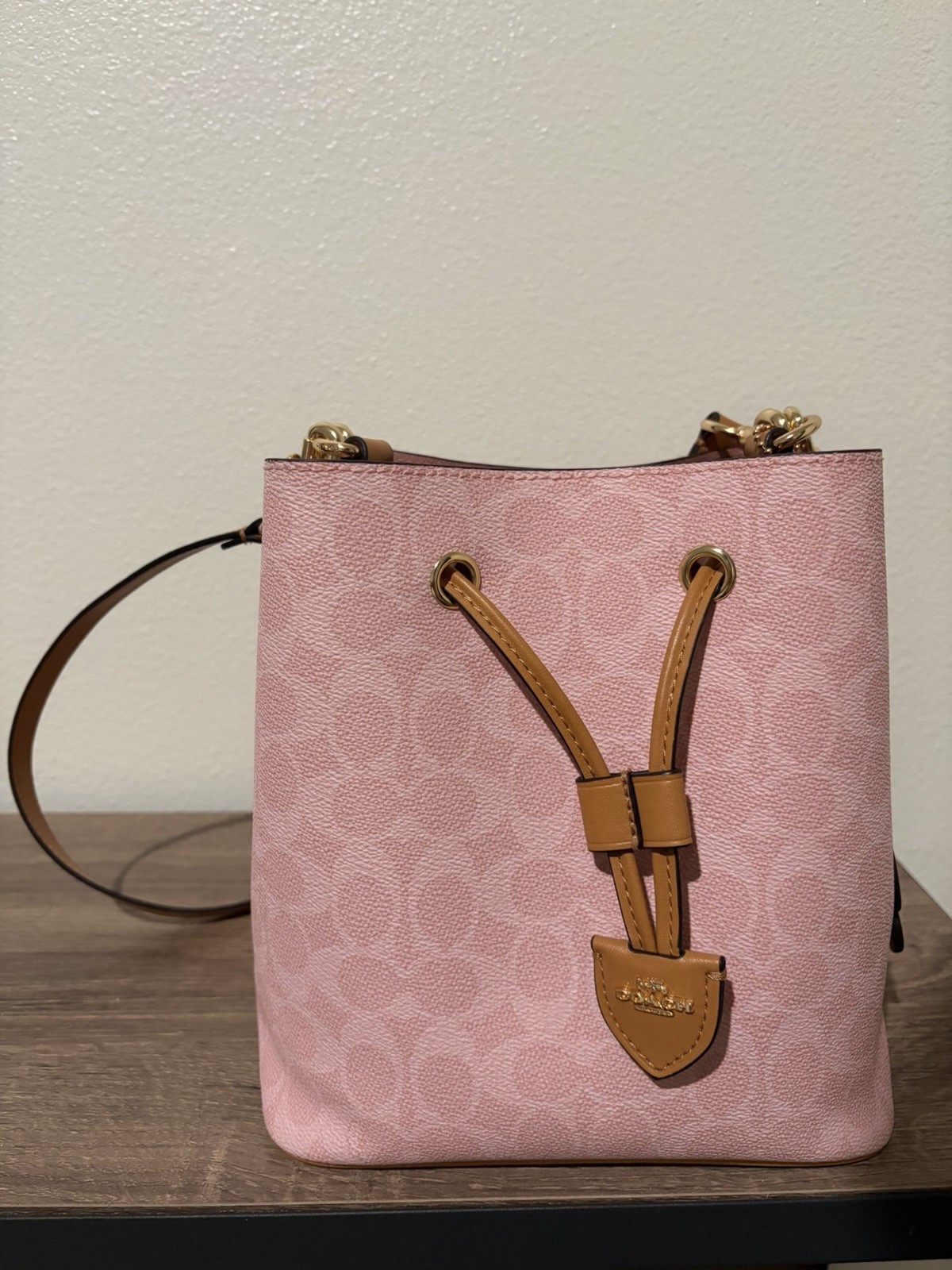 Coach Rowan Bucket Bag In Signature Canvas With Charms Powder Pink CEA23