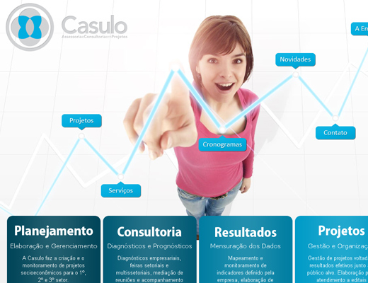 Assessoria e Consultoria em Projetos