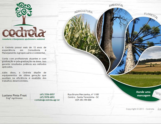 Cedrela Agroflorestal