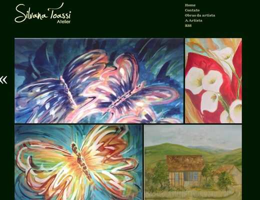 Artista Silvana Toassi